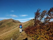 24 serena mattinata, colorata d'autunno...